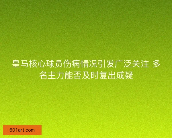 皇马核心球员伤病情况引发广泛关注 多名主力能否及时复出成疑