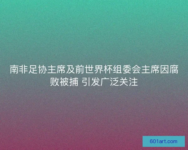 南非足协主席及前世界杯组委会主席因腐败被捕 引发广泛关注